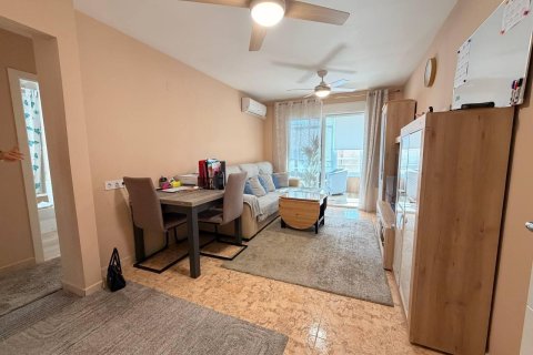 Продажа квартиры в Торревьеха, Аликанте, Испания 2 спальни, 65м2 №184306 - фото 6