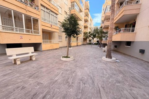 Продажа квартиры в Торревьеха, Аликанте, Испания 2 спальни, 65м2 №184306 - фото 16