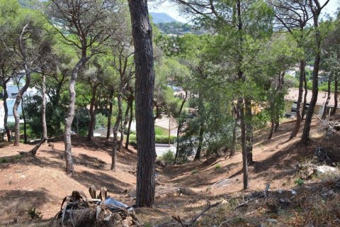 Land zum Verkauf in Premia De Dalt, Barcelona, Spanien Nr. 140765 - Foto 3