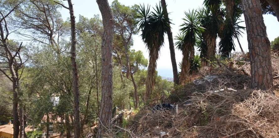 Land in Premia De Dalt, Barcelona, Spanien Nr. 140765