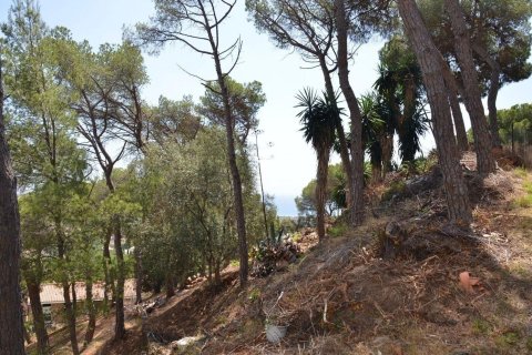 Land zum Verkauf in Premia De Dalt, Barcelona, Spanien Nr. 140765 - Foto 5