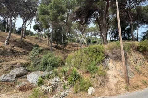 Land zum Verkauf in Premia De Dalt, Barcelona, Spanien Nr. 140765 - Foto 10