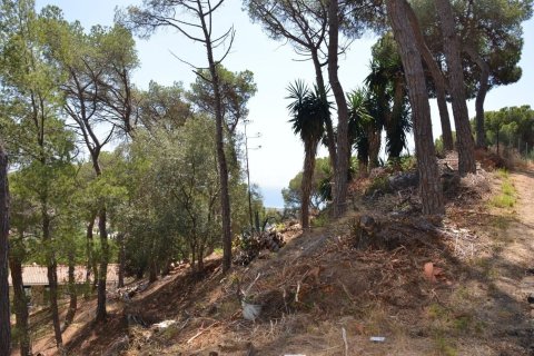 Land zum Verkauf in Premia De Dalt, Barcelona, Spanien Nr. 140765 - Foto 6