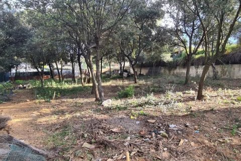 Land plot for sale in Sant Cugat Del Valles, Barcelona, Spain No. 140767 - photo 14