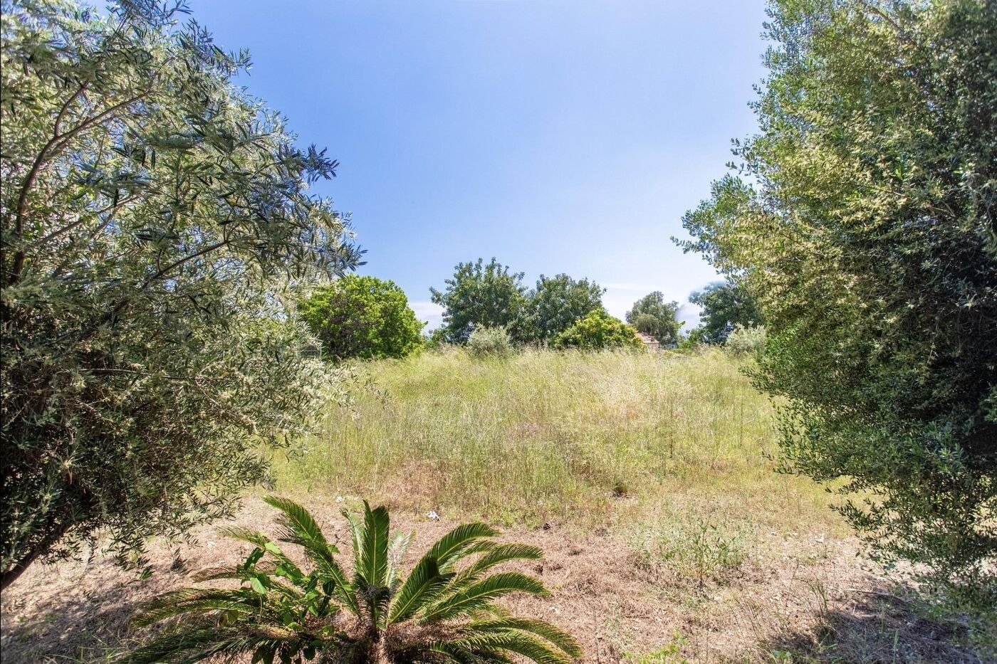 Terreno a Sant Vicenc De Montalt, Barcelona, Spagna N° 140766