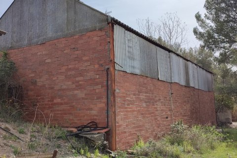 Продажа земельного участка в Сан-Климент-де-Льобрегат, Барселона, Испания 6120м2 №154026 - фото 3