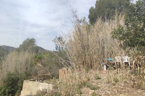 Продажа земельного участка в Сан-Климент-де-Льобрегат, Барселона, Испания 6120м2 №154026 - фото 4