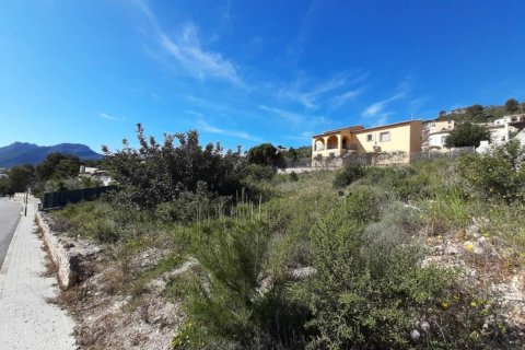 Villa à vendre Alcalali, Alicante, Espagne, 3 chambres, 149 m2 No. 78844 - photo 2