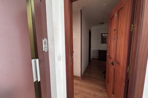 Apartment à vendre à Torrevieja, Alicante, Espagne, 4 chambres, 120 m2 No. 195452 - photo 4