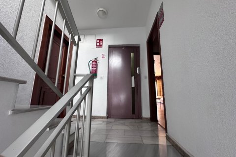 Apartment à vendre à Torrevieja, Alicante, Espagne, 4 chambres, 120 m2 No. 195452 - photo 14