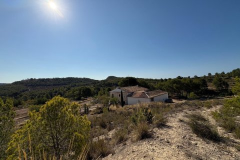 Finca till salu Villajoyosa, Alicante, Spanien 10 sovrum, 804 kvm. Nr. 139428 - foto 8