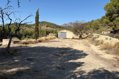 Finca till salu Villajoyosa, Alicante, Spanien 10 sovrum, 804 kvm. Nr. 139428 - foto 12