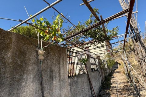 Finca till salu Villajoyosa, Alicante, Spanien 10 sovrum, 804 kvm. Nr. 139428 - foto 15
