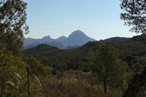 Finca till salu Villajoyosa, Alicante, Spanien 10 sovrum, 804 kvm. Nr. 139428 - foto 22