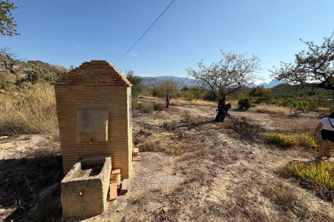 Finca till salu Villajoyosa, Alicante, Spanien 10 sovrum, 804 kvm. Nr. 139428 - foto 11