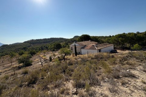 Finca till salu Villajoyosa, Alicante, Spanien 10 sovrum, 804 kvm. Nr. 139428 - foto 21