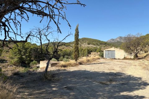 Finca till salu Villajoyosa, Alicante, Spanien 10 sovrum, 804 kvm. Nr. 139428 - foto 19