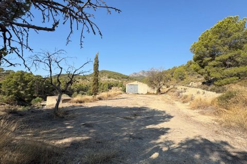 Finca till salu Villajoyosa, Alicante, Spanien 10 sovrum, 804 kvm. Nr. 139428 - foto 9
