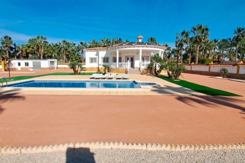 Finca myytävänä Catral, Alicante, Espanja, 3 makuuhuonetta, 163 m2 No. 155380 - kuva 13