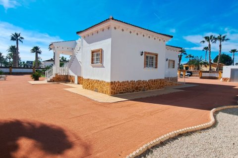 Finca myytävänä Catral, Alicante, Espanja, 3 makuuhuonetta, 163 m2 No. 155380 - kuva 22