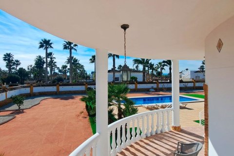 Finca myytävänä Catral, Alicante, Espanja, 3 makuuhuonetta, 163 m2 No. 155380 - kuva 19