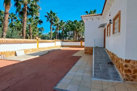 Finca myytävänä Catral, Alicante, Espanja, 3 makuuhuonetta, 163 m2 No. 155380 - kuva 23
