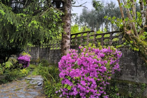 House for sale in Pontedeume, A Coruna, Spain 5 bedrooms, 507 sq.m. No. 173268 - photo 5