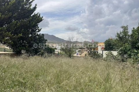 Villa for sale in Zurgena, Almeria, Spain 3 bedrooms, 181 sq.m. No. 167513 - photo 17