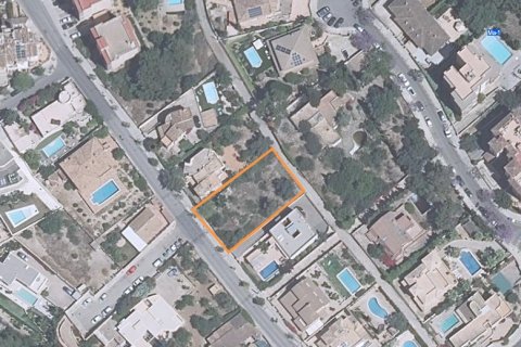 Tontti Palma de Majorca, Mallorca, Espanja 751 m2 No. 167508
