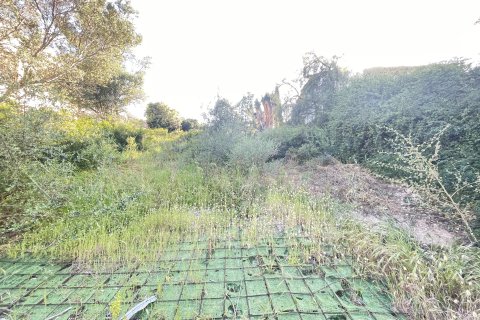 Tontti myytävänä Palma de Majorca, Mallorca, Espanja , 751 m2 No. 167508 - kuva 2
