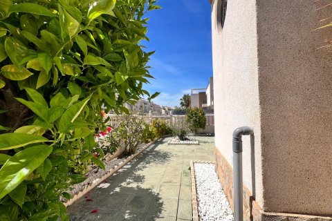 Townhouse à vendre à La Mata, Alicante, Espagne, 3 chambres, 132 m2 No. 191062 - photo 3