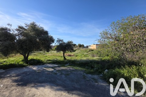 Продажа земельного участка в Каласпарра, Мурсия, Испания 2300м2 №184995 - фото 5