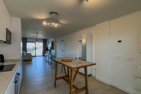 Penthauss pārdošanā Finestrat, Alicante, Spānijā 3 istabas, 214 m2 Nr. 165423 - attēls 26