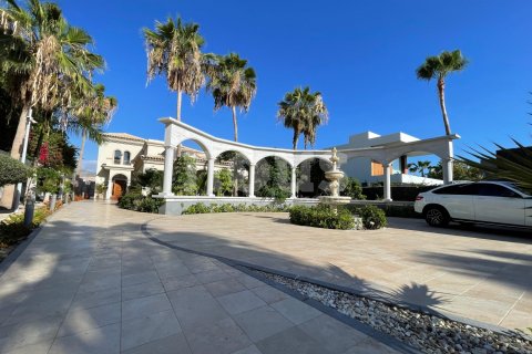 Villa for sale in Adeje, Tenerife, Spain 7 bedrooms, 320 sq.m. No. 164759 - photo 23