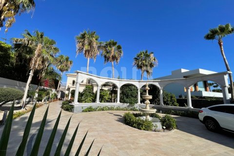 Villa for sale in Adeje, Tenerife, Spain 7 bedrooms, 320 sq.m. No. 164759 - photo 18