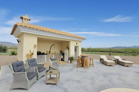 Villa à vendre à Pinoso, Alicante, Espagne, 4 chambres, 241 m2 No. 160968 - photo 9