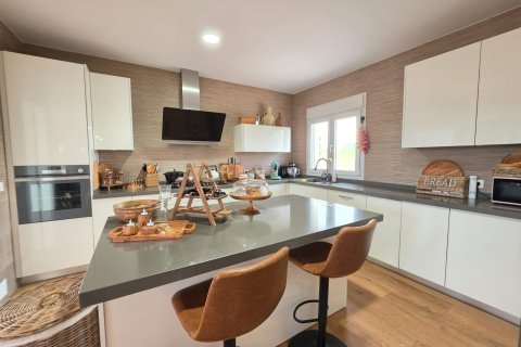 Villa à vendre à Pinoso, Alicante, Espagne, 4 chambres, 241 m2 No. 160968 - photo 6