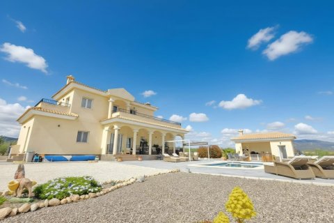 Villa à vendre à Pinoso, Alicante, Espagne, 4 chambres, 241 m2 No. 160968 - photo 8