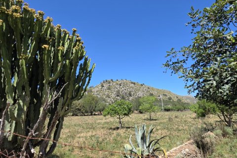 Dom w Pollenca, Mallorca, Hiszpania 4 sypialnie, 199 mkw. nr 153517 – zdjęcie 25