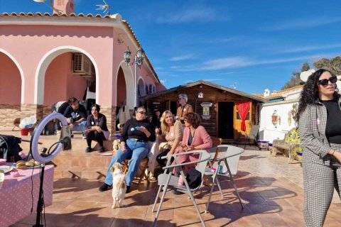 Huvila myytävänä Cabo Roig, Alicante, Espanja, 4 makuuhuonetta, No. 190339 - kuva 13