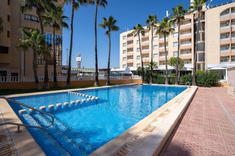 Продажа квартиры в Пунта Прима, Аликанте, Испания 3 спальни, 93м2 №154509 - фото 3