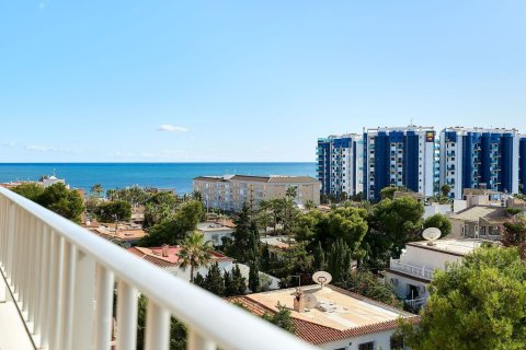 Продажа квартиры в Пунта Прима, Аликанте, Испания 3 спальни, 88м2 №154511 - фото 12
