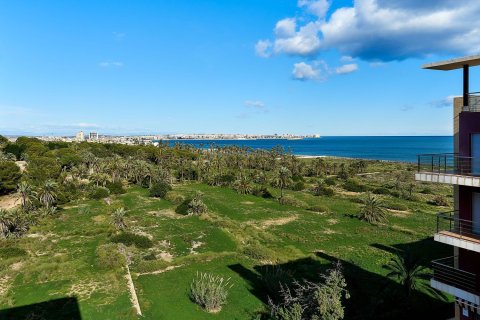 Продажа квартиры в Пунта Прима, Аликанте, Испания 3 спальни, 88м2 №154511 - фото 13