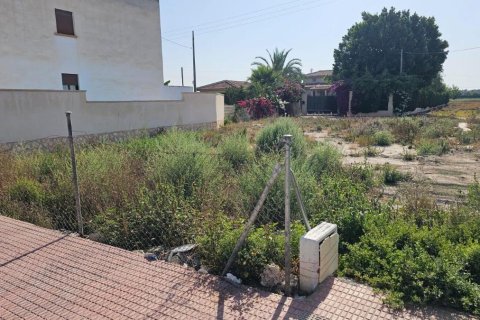 Gewerbeimmobilien zum Verkauf in Daya Nueva, Alicante, Spanien Nr. 183742 - Foto 12