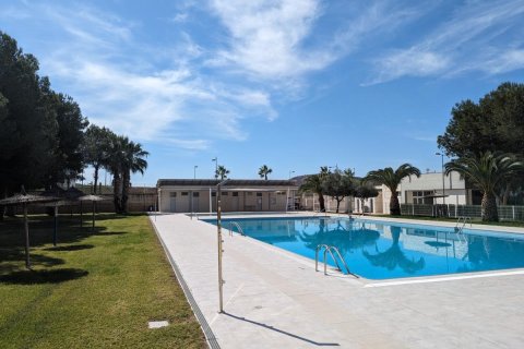 Wohnung zum Verkauf in Algorfa, Alicante, Spanien 1 Schlafzimmer, 45 m2 Nr. 183743 - Foto 14