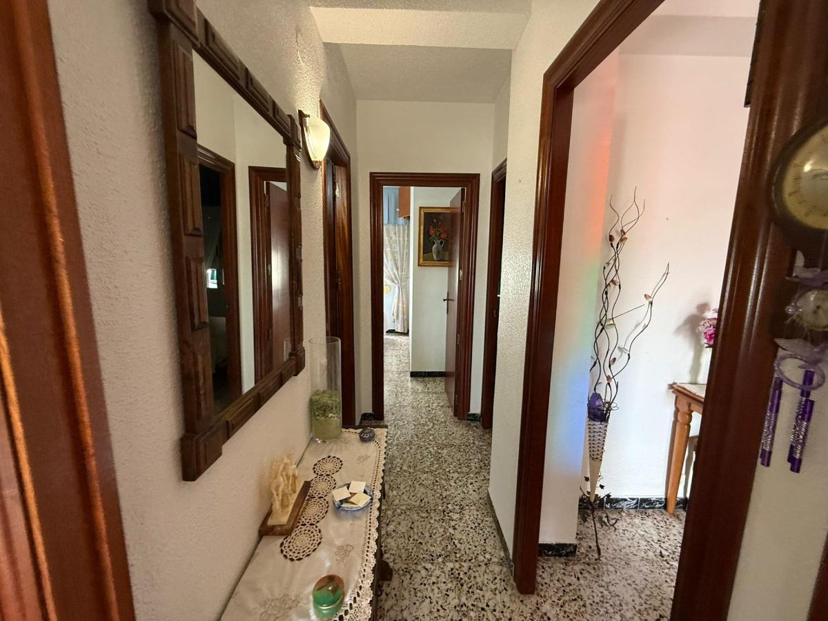 Apartamento en Guardamar del Segura, Alicante, España 3 dormitorios, 77 m2 No. 183744