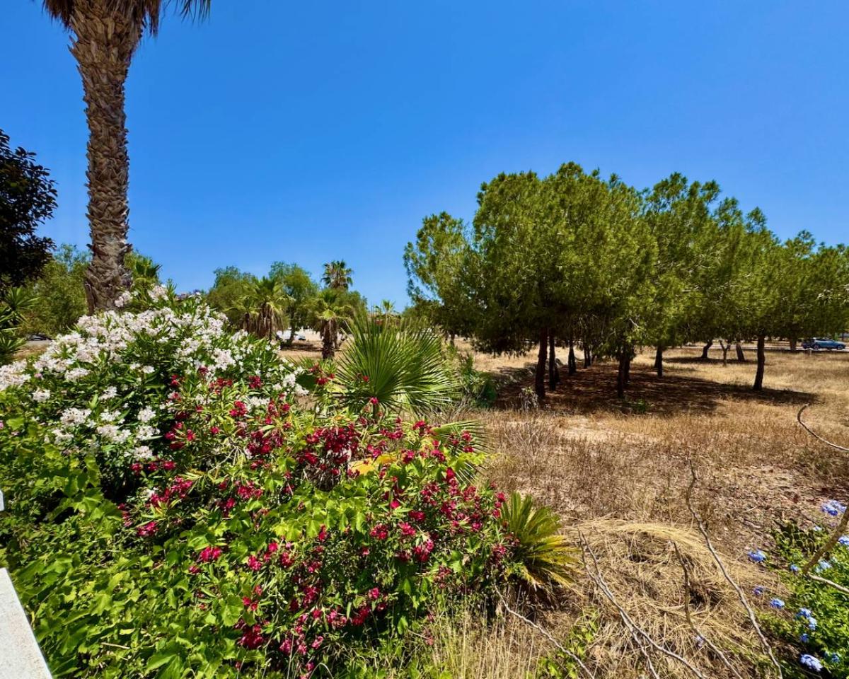 Villa à Ciudad Quesada, Alicante, Espagne 2 chambres, 82 m2 No. 183745