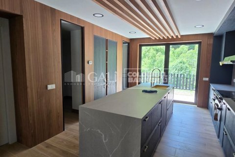 House zum Verkauf in Principado De Andorra (Ninguna Poblacion Tiene C.P.), Lleida, Spanien 4 Schlafzimmer, 490 m2 Nr. 158446 - Foto 7