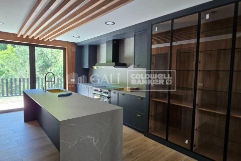 House for sale in Principado De Andorra (Ninguna Poblacion Tiene C.P.), Lleida, Spain 4 bedrooms, 490 sq.m. No. 158446 - photo 8