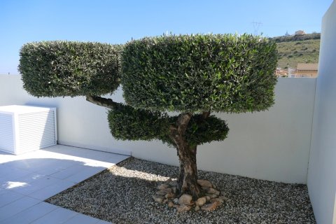 Huvila myytävänä Benijofar, Alicante, Espanja, 4 makuuhuonetta, 150 m2 No. 163150 - kuva 29